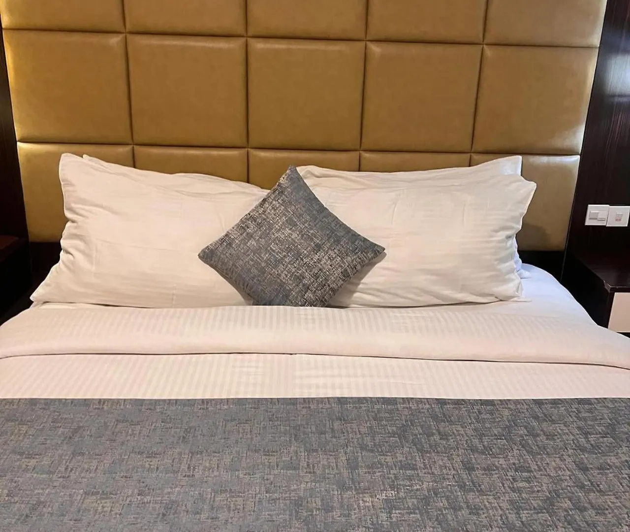 Hotel Olive Aero Suites Near Delhi Airport New Delhi